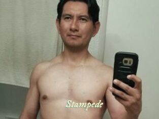 Stampede