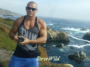 Steve_Wild