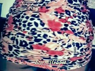 Storm3GSpot