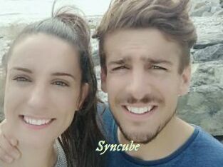 Syncube Année du sexe