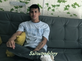 Salvatredelrey