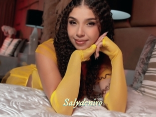salydeniro Année du sexe