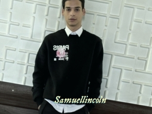 samuellincoln Année du sexe