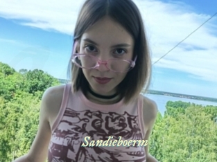 Sandieboerm