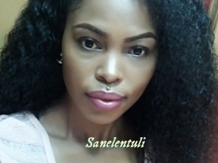 Sanelentuli