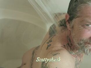Scottyshark