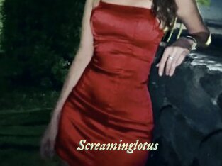 Screaminglotus
