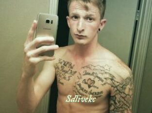 Sdlivekc