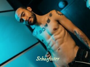 sebasfoster Année du sexe