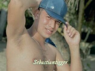 Sebastiantigger