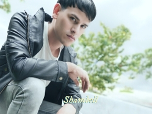 shambell Année du sexe