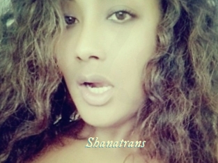 shanatrans Année du sexe