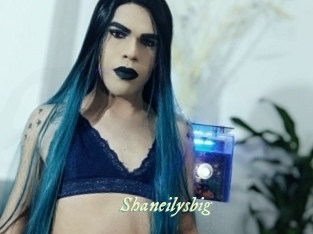 shaneilysbig Année du sexe