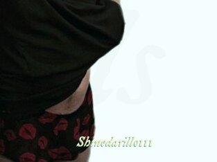 Shinedarillo111
