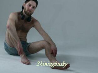 Shininghusky