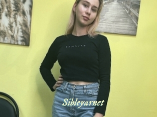 Sibleyarnet