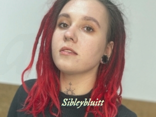 sibleybluitt Année du sexe
