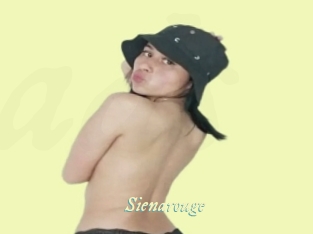 sienarouge Année du sexe
