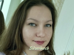 Silverbeech