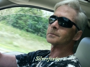 silverfox69 Année du sexe