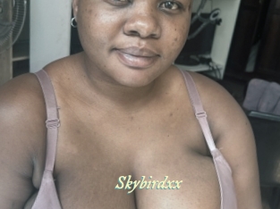 Skybirdxx