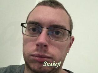 Snakefl