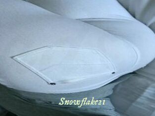 Snowflake21