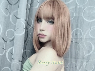 Soary_trans