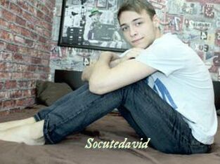 Socutedavid