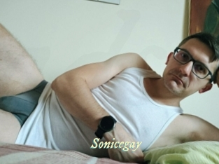 sonicegay Année du sexe