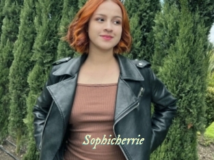 Sophicherrie