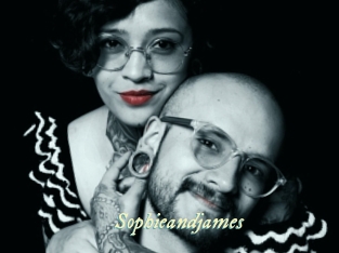 sophieandjames Année du sexe