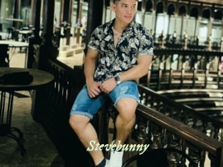 stevebunny Année du sexe