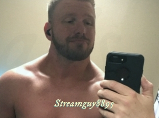 Streamguy8895