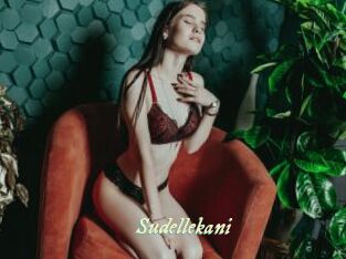 Sudellekani