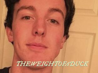 THEWEIGHTOFADUCK