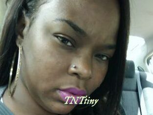 T_N_Ttiny
