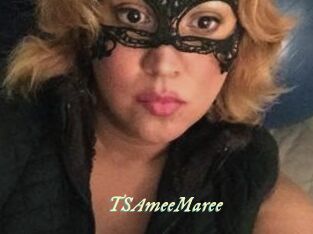 TSAmeeMaree
