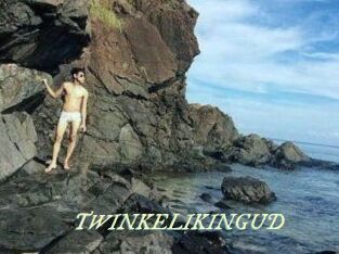 TWINKELIKINGUD