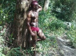 Tauro_Hott