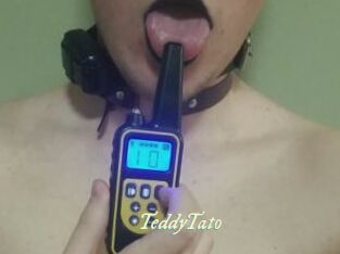 TeddyTato
