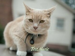 TestAlaric