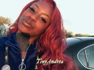 TinyAndrea