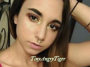 TinyAngryTiger