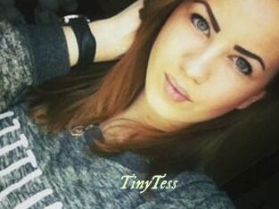 TinyTess