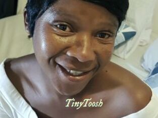 TinyToosh
