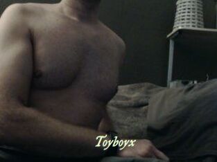 Toyboyx