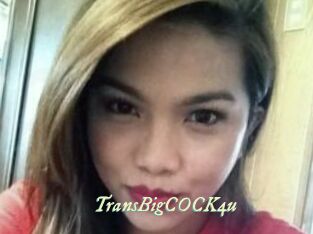 TransBigCOCK4u
