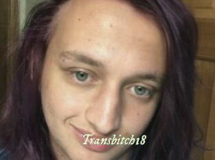 Transbitch18