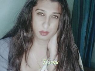 Ts_sonu